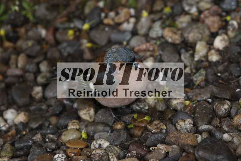 /Archiv-2023/03 07.04.2023 Speer Racing ADR/Impressionen